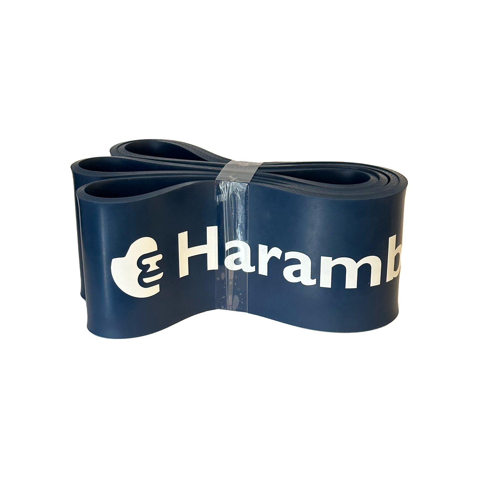 Picture of the Blue Kong Band.